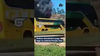 &Ocirc;nibus clandestino pega fogo na rodovia Fern&atilde;o Dias #Shorts #JornalDaRecord #JR24H