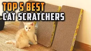 Top 5 Best Cat Scratchers on On Aliexpress On Amazon