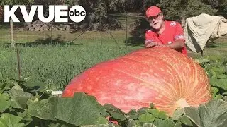 Wisconsin farmer wins pumpkin weigh-off with 2,491-pound gourd