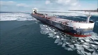 ALGOMA NIAGARA - Downbound Port Huron, Michigan 1-22-2026