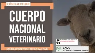 Salidas Profesionales: Cuerpo Nacional Veterinario