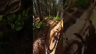 #MountainBiking #TrailTherapy #RideMore #ridemoremtb