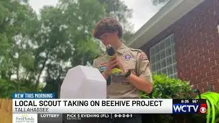 Tallahassee scout builds beehive exhibit to educate, protect pollinators