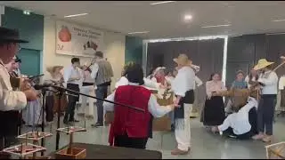Resineiro ~ Estrelas do norte JLP 