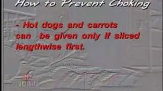 DR.PAUL's CHOKING PREVENTION TIPS-www.drpaul.com