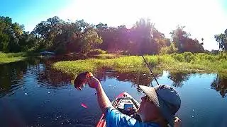 Braden River Bass