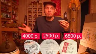 ЧАЙНЫЙ БАТТЛ №1. Пьем три народных шу пуэра: от Мой чай, Фабричный и Утёс дракона от УЧ.