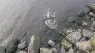 Catching gills at LaSalle Lake is very windy!
