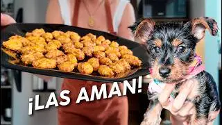 Galletas Caseras para Cachorros en Air Fryer 🐶 | Receta F&aacute;cil, Segura y Natural