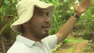 BEST COFFEE TOUR IN COSTa RICA