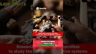 Dino Poo: Discovering Secrets from Fossilized Feces