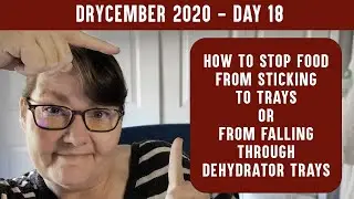 HOW TO STOP FOOD FROM STICKING TO DEHYDRATOR: DRYCEMBER: Best tray liners for your dehydrator