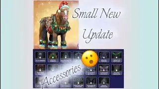 Small HRT Update//Horse riding tales 