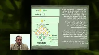الأحياء - الصف الثانى عشر - الدرس رقم (20) النظرية الكروموسومية