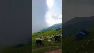 In awe of nature's majesty 🌿 # #nature #explore #summer #mountains #peak #animals #travel  #clouds