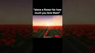 Minecraft Meme