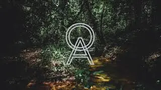 One Hour Forest Sounds Chill Ambient - Sleep Study Focus Relax Music