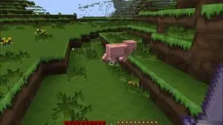 Hunger Games: BeastNode.net