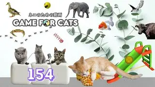 CAT Games | Mouse, Bird, Fish, String GAME FOR CATS 154 | 2 HOURS 🐭🧵🐠🐦🧵🦋🐜