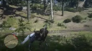RDR2 - Horse Runs Away from Me When I Call It Again