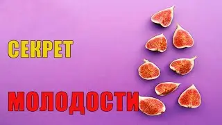 Superfoods: Как сохранить молодость после 35  натуральные средства