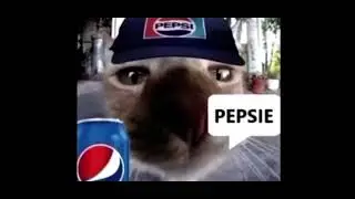 DR. pepper vs Fanta vs monster vs root beer vs Pepsi vs coca coala vs sprite