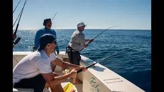 Cabo Fishing Adventure: Top Spots to Catch Marlin