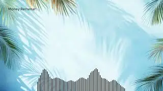 Money Remenar