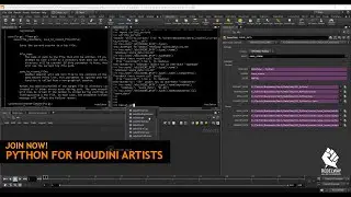 Python for Houdini Artists | Pro VFX Course