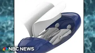 Controversial 'suicide pod' could potentially use AI-powered feature