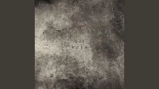Beta Four
