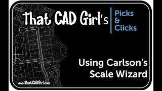 Using Carlson Scale Wizard