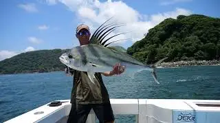 Catching Big Roosterfish!