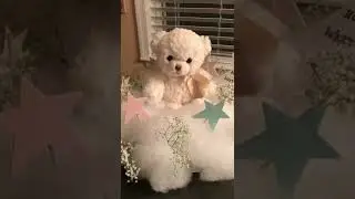 Very Cute Teddy Bears 🧸 #teddybear #teddy #teddylove #teddystatus #cuteteddy #giftsforgirls #shorts