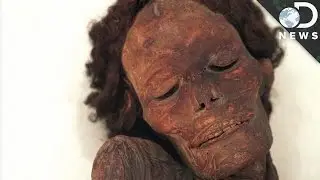 How Does Mummification Work?