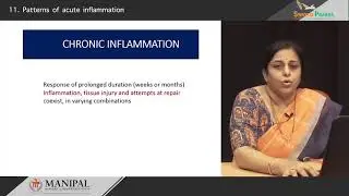 Patterns of acute inflammation
