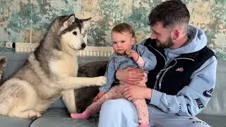 Baby Does The Funniest “SAD FACE” On Demand To Her Huskies!😂.