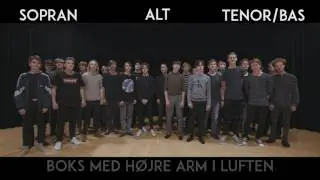 I nat er vi ladt L17 Tenor bas