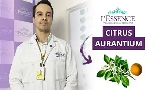 Citrus Aurantium: Queima Gordura ou Mito?