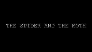 THE SPIDER AND THE MOTH - Short Film