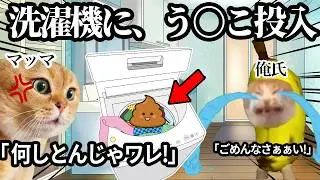 【地獄】う〇こ漏らしたパンツを洗濯機に放り込んで母親がブちぎれさせてしまいました… 猫ミーム 猫マニ