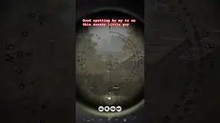 Trust ping! tank kill #hellletloose #tank #gaming #militarytank
