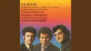 Violin Concerto No. 2 in E Major, BWV 1042: I. Allegro