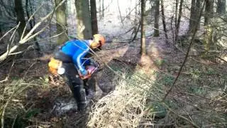 Frede fælder træ