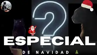 Especiales de navidad 🎄