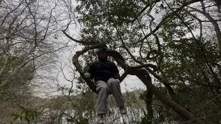【無職】森を歩くだけの動画