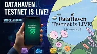 How to Participate in DataHaven Testnet | Daily Tasks & Zealy Quests