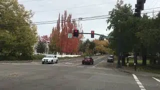 Doghouse McCain Traffic Signals (Eastbound)🚦