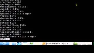 less command in Linux Shell terminal