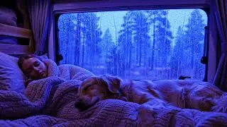 Relaxing Thunderstorm Sounds with Heavy Rain for Sleep, Study, and Focus